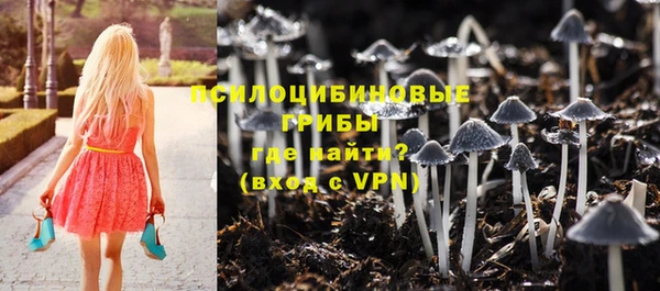 винт Медвежьегорск