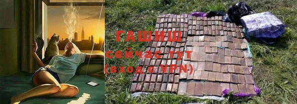 хмурый Магас