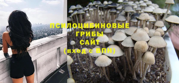 винт Медвежьегорск