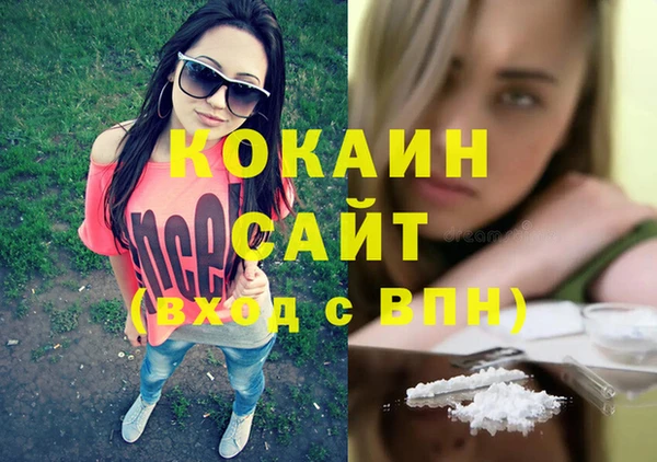 хмурый Магас