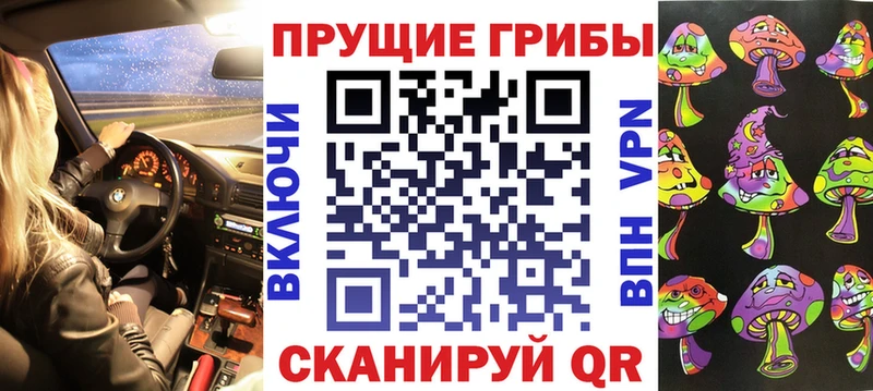 где купить   Чухлома  Галлюциногенные грибы Magic Shrooms 